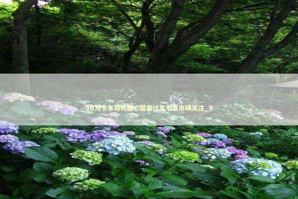 10万卡车司机暖心留粤过年引发市场关注_9 新闻