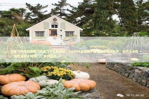 北京飞匈牙利救援飞机起飞不久后返航，5小时内盘旋数十圈落地后取消航班，业内人士称“耗完油后才降落”，多方回应_3