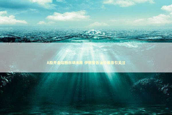 A股开盘熔断市场沸腾 伊朗警告油价暴涨引关注
