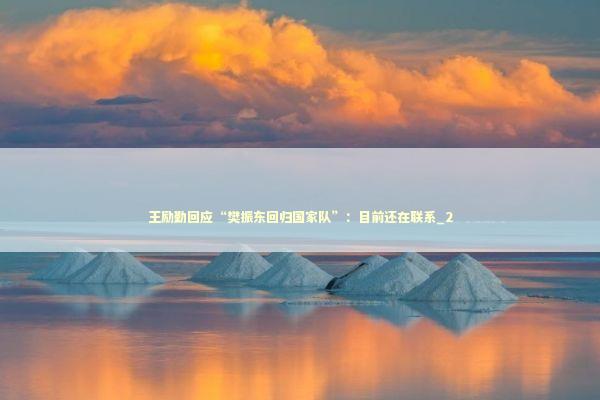 王励勤回应“樊振东回归国家队”：目前还在联系_2 新闻