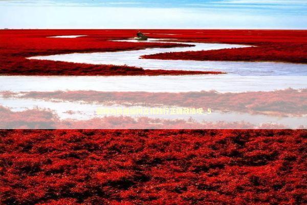 坚持为民造福树立和践行正确政绩观_5 新闻