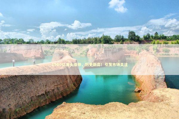 1500亿龙头涨停，历史新高！引发市场关注