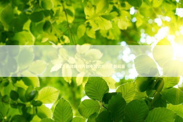 以正确政绩观开创中国式现代化新局面