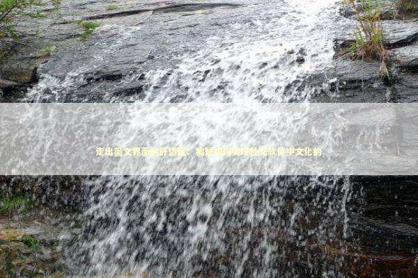 走出英文界面的舒适区：我是如何实现社交软件中文化的 IT技术