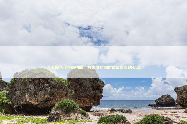 个人隐私保护的进阶：数字游民如何构建信息防火墙 IT技术